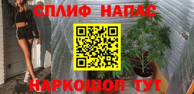 сатива Гагарин