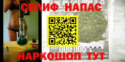ПСИЛОЦИБИНОВЫЕ ГРИБЫ Гатчина